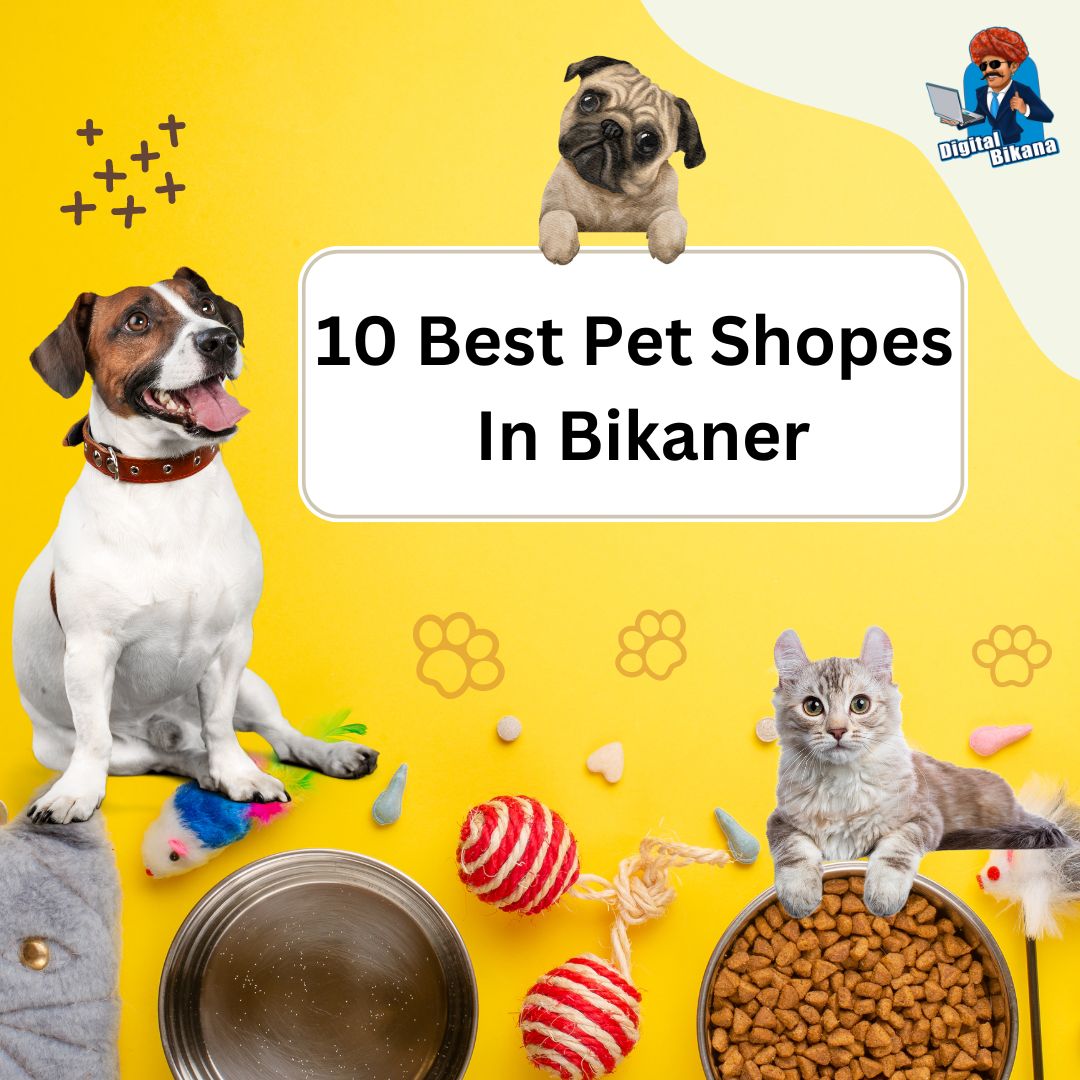 Best Pet Shopes In Bikaner