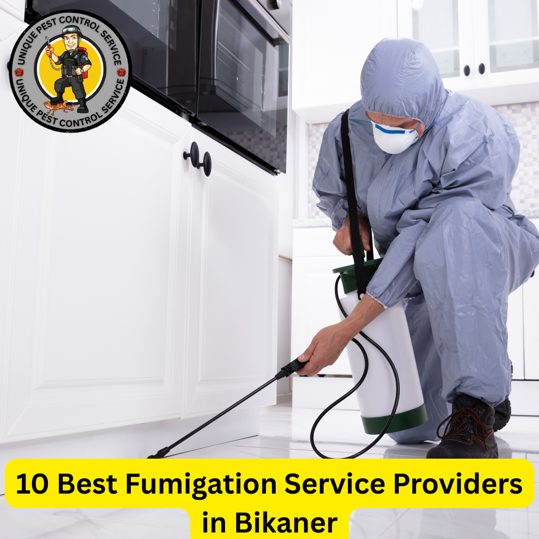 Best Fumigation Service Providers in Bikaner